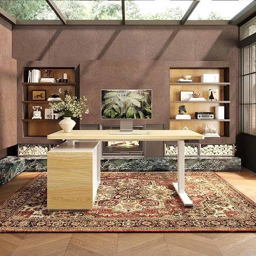 FLEXISPOT 55" Executive Standing Desk with Drawers & CPU Cabinet | Multi-Monitor Workspace, Dual Motor Lift & 222 LBS Capacity, 1" Thick Desktop, Home Office (White Wood Grain, 3 Packages)