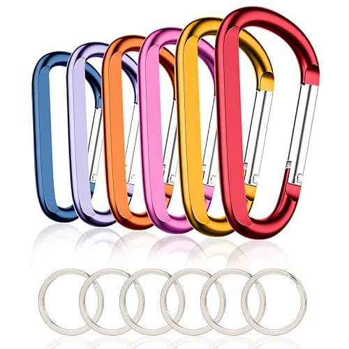 CampTek Carabiner Caribeaner Clip,3" Large Aluminum D Ring Shape Carabeaner with Keyring Keychain Hook