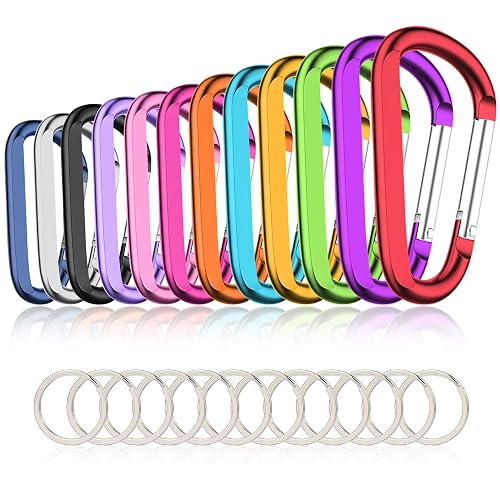 CampTek Carabiner Caribeaner Clip,3" Large Aluminum D Ring Shape Carabeaner with Keyring Keychain Hook