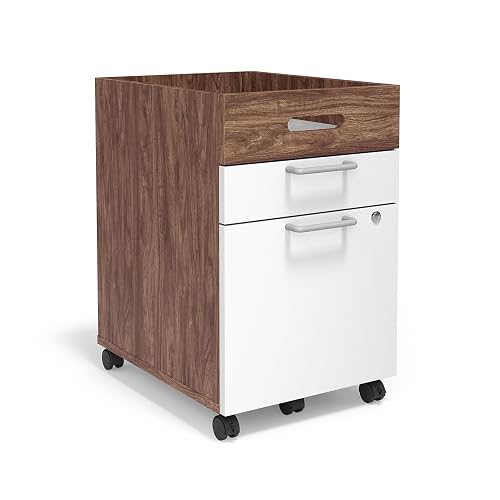 Union & Scale 2 Drawer Mobile File Cabinet, Rolling Printer Stand, Vertical Filing Cabinet, Office Drawers, Filing Cart for Home Office, A4/Letter Size, Black and Rustic Brown BFK20WJ01