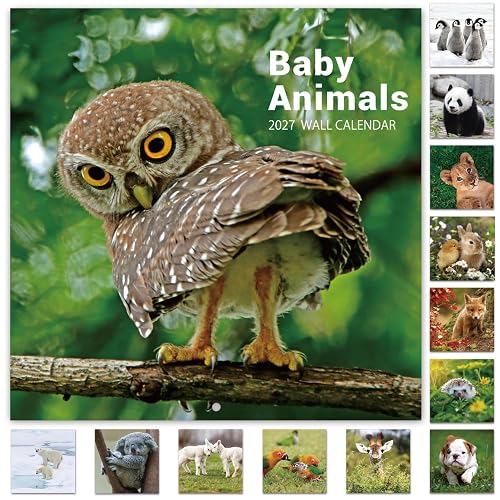 2027 Calendar - 12 Month Baby Animals Wall Calendar 2027 | January 2027 - December 2027, 12" x 12", Thick & Sturdy Paper, 12" x 24" (Open), Perfect Calendar for Organizing & Planning