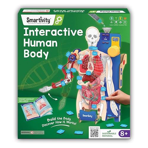 Smartivity DIY Interactive Human Body Model for Kids 8-14 Years | Dynamic Body Parts & Organs + Learning Booklet | Educational STEM Toy | Birthday Gift for Boys & Girls 8-14 Years
