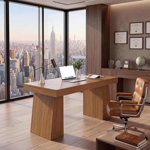 Modern Wood 55" Executive Desk with Power Outlets & Storage Cabinet | Office Computer Desk with 3 AC Outlets, USB-A & USB-C Ports, 400 lb Capacity Writing Table for Home Office